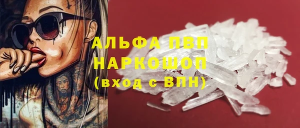 гидра Арсеньев