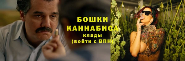 гидра Арсеньев