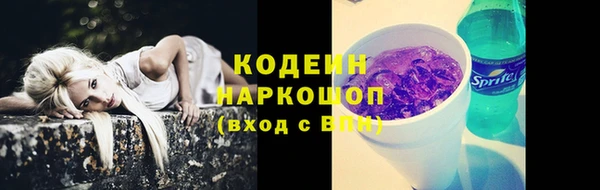 гидра Арсеньев