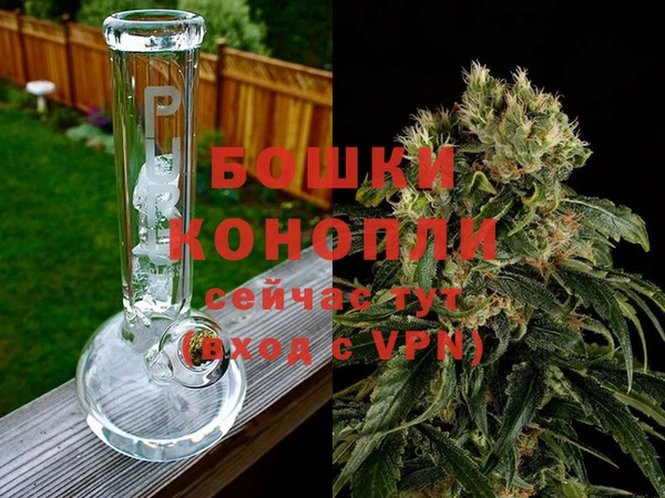 гидропоника Аркадак