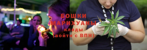 гидра Арсеньев