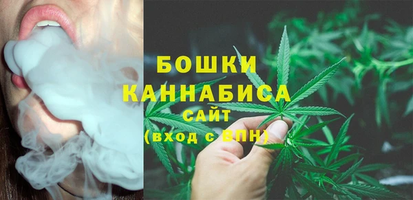 гидра Арсеньев