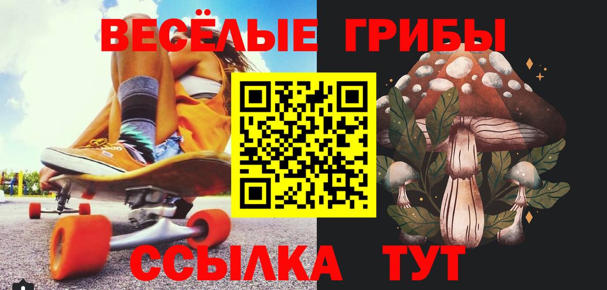 Галлюциногенные грибы GOLDEN TEACHER  Вход с VPN  Дмитров 